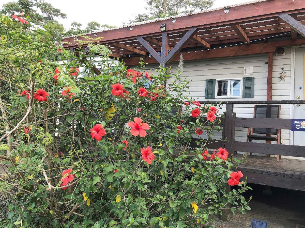 Panorama Ocean View Cottage Motobu Eksteriør billede