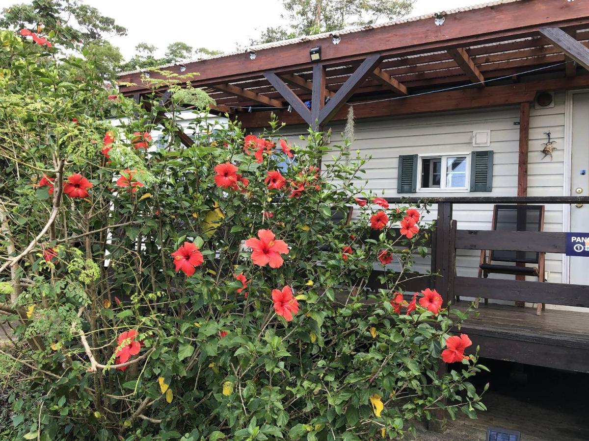 Panorama Ocean View Cottage Motobu Eksteriør billede