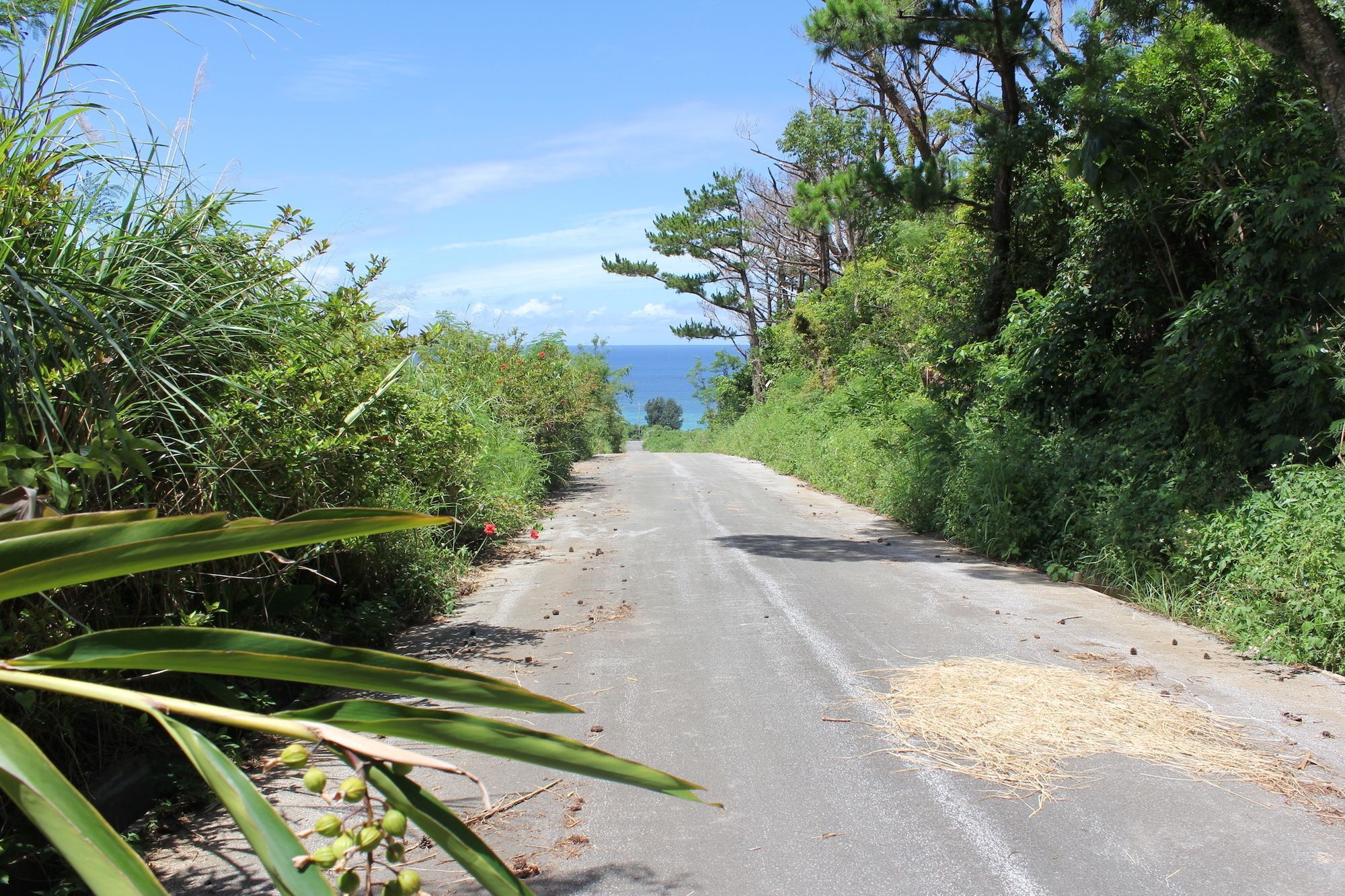 Panorama Ocean View Cottage Motobu Eksteriør billede